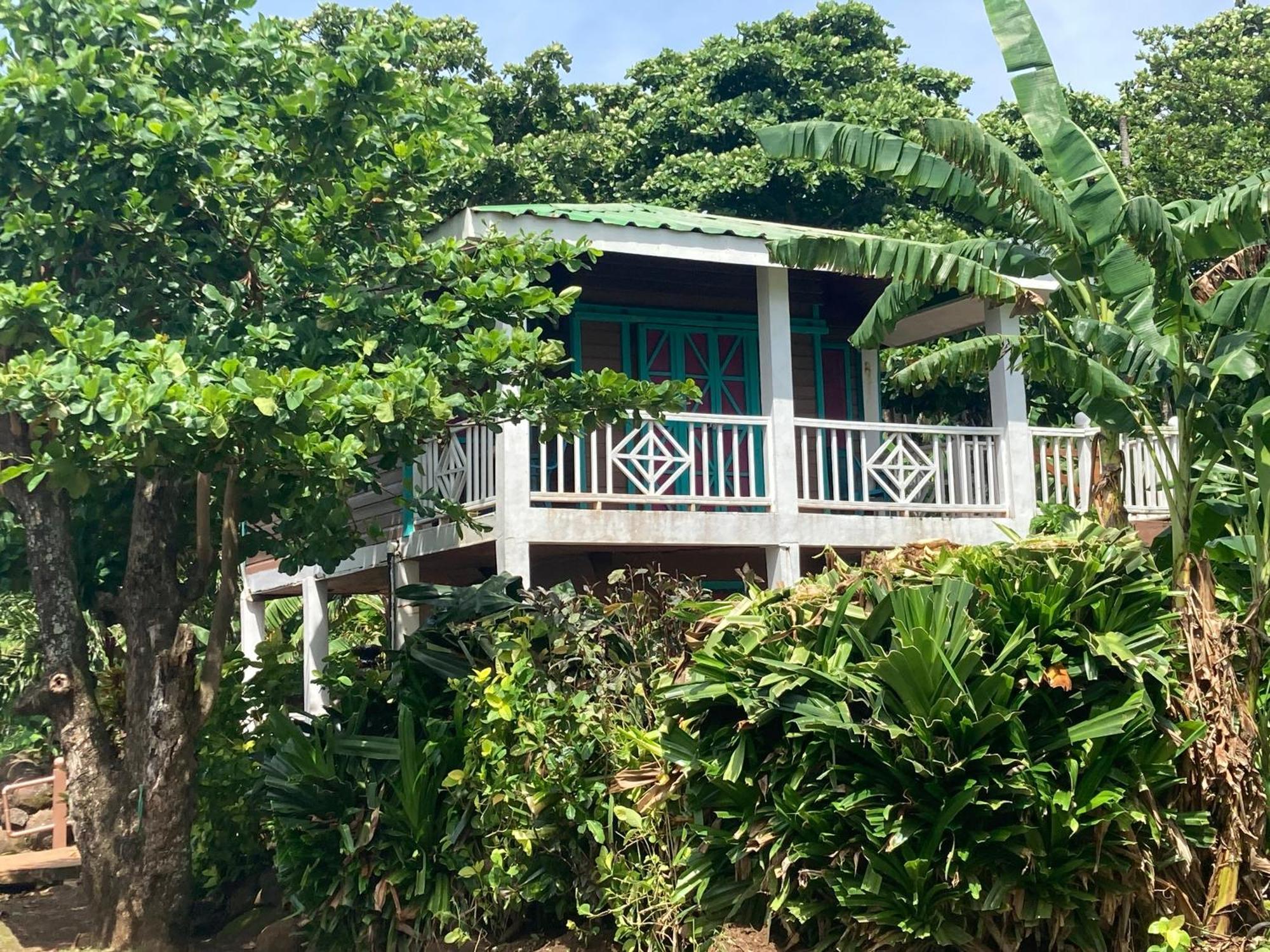 Treehouse Apartment At La Lodge At Long Bay South End Esterno foto