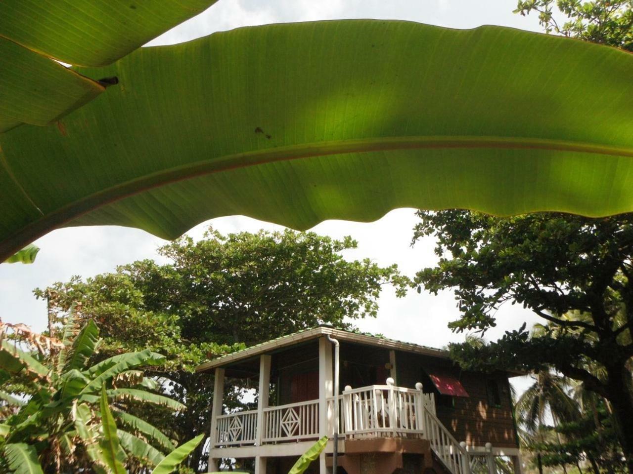 Treehouse Apartment At La Lodge At Long Bay South End Esterno foto